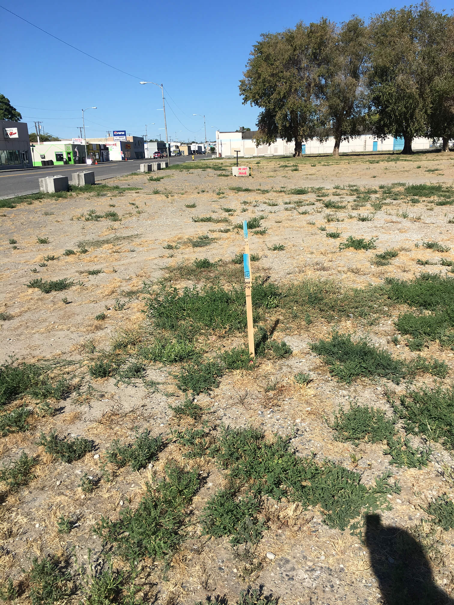 Survey stake in ground before construction.