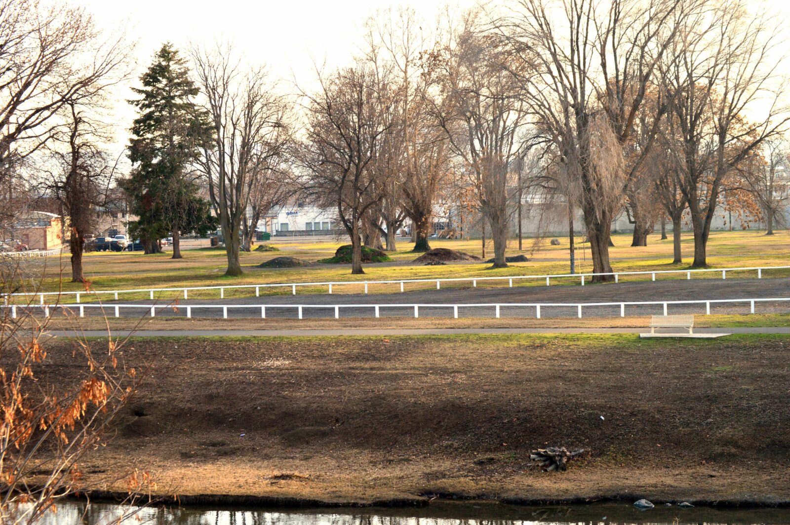 Ground-level picture of The Willows property.
