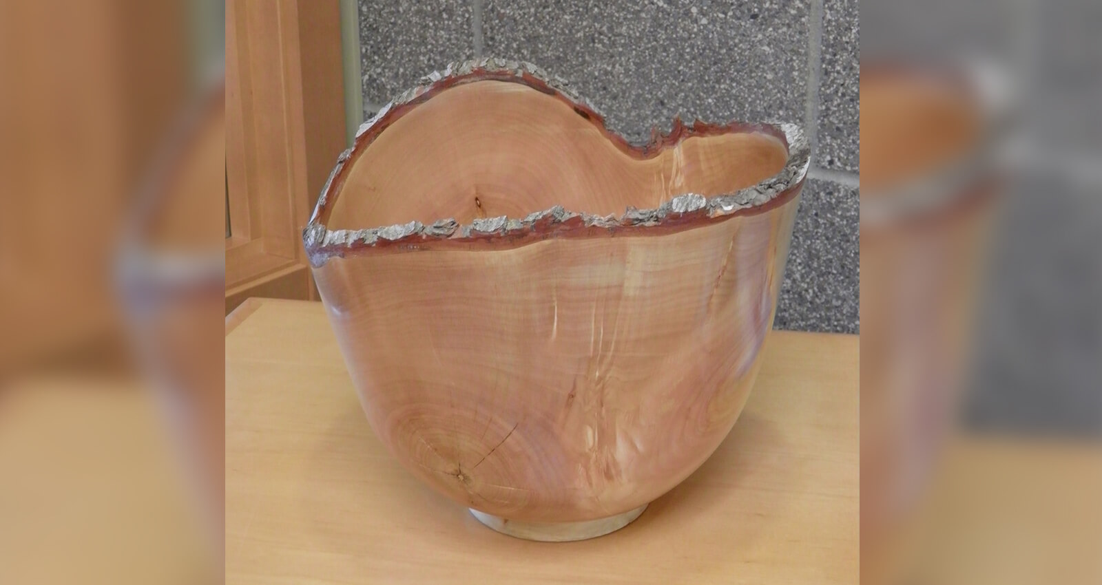 Decorative Wooden Bowl artwork on display in Port Offices.