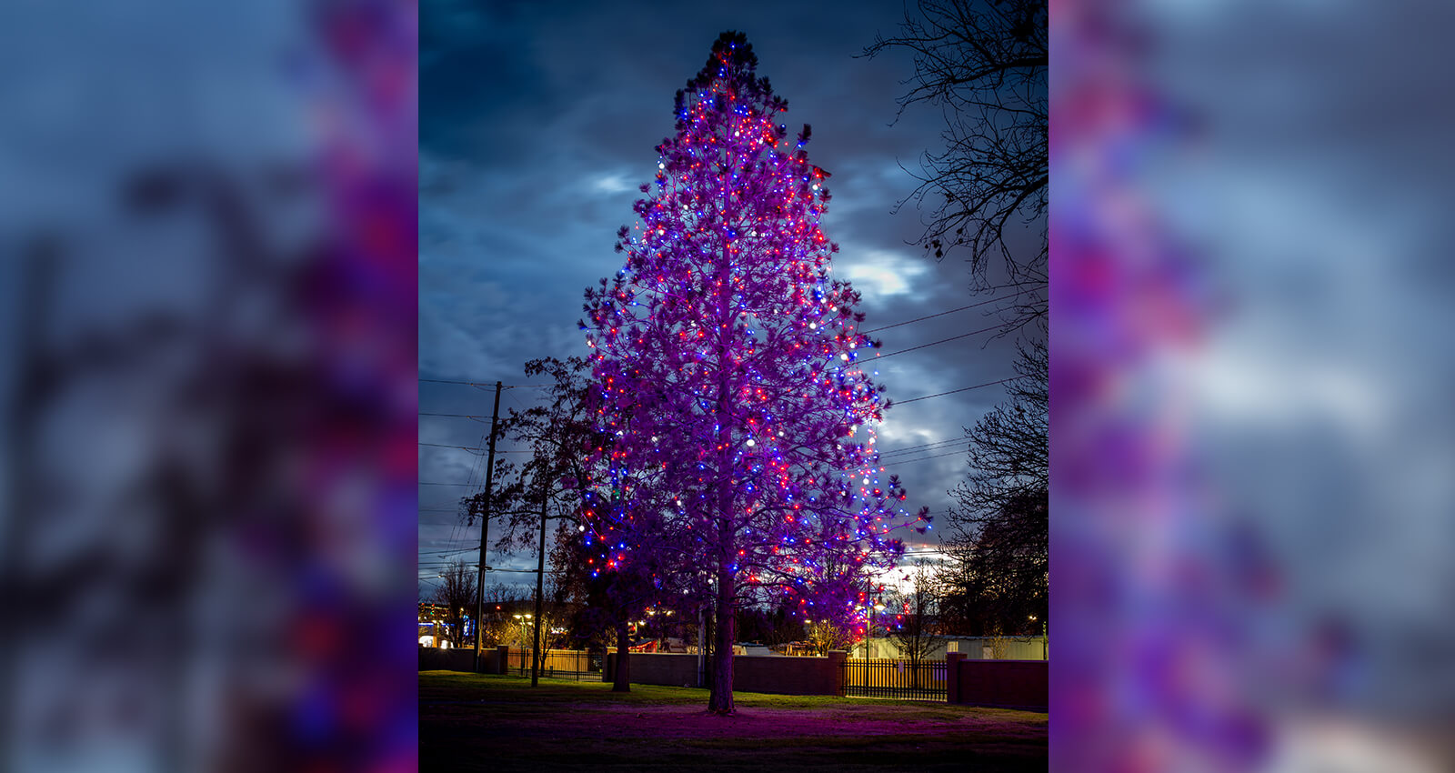 Veterans' Christmas Tree at night with lights glowing.